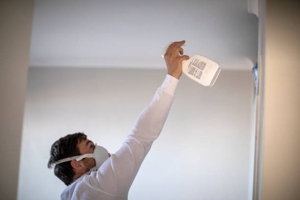 Best Insurance-Related Mold Remediation in Clifton Forge, VA