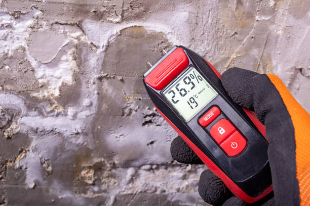Best Commercial Mold Remediation in Clifton Forge, VA