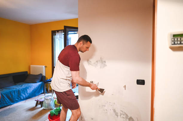 Best Post-Flood Mold Remediation in Clifton Forge, VA